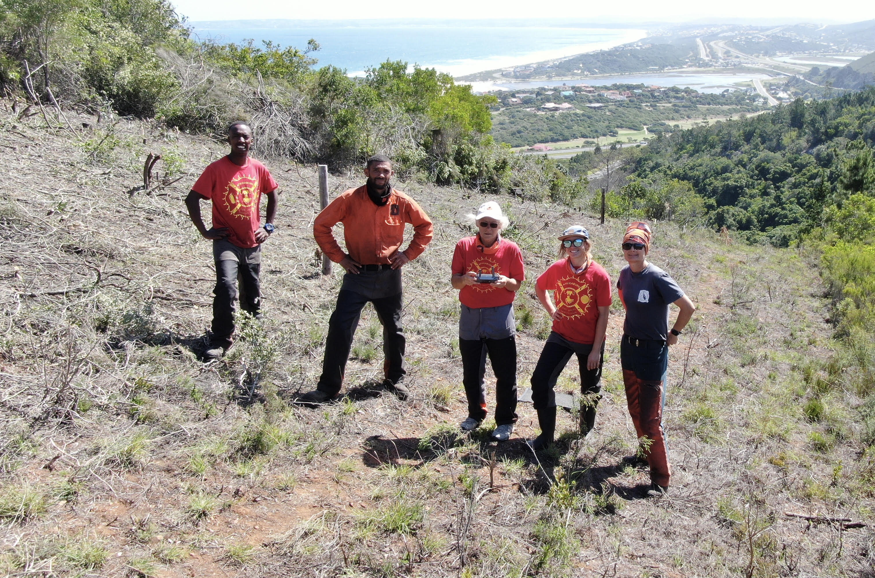 Vegetation management